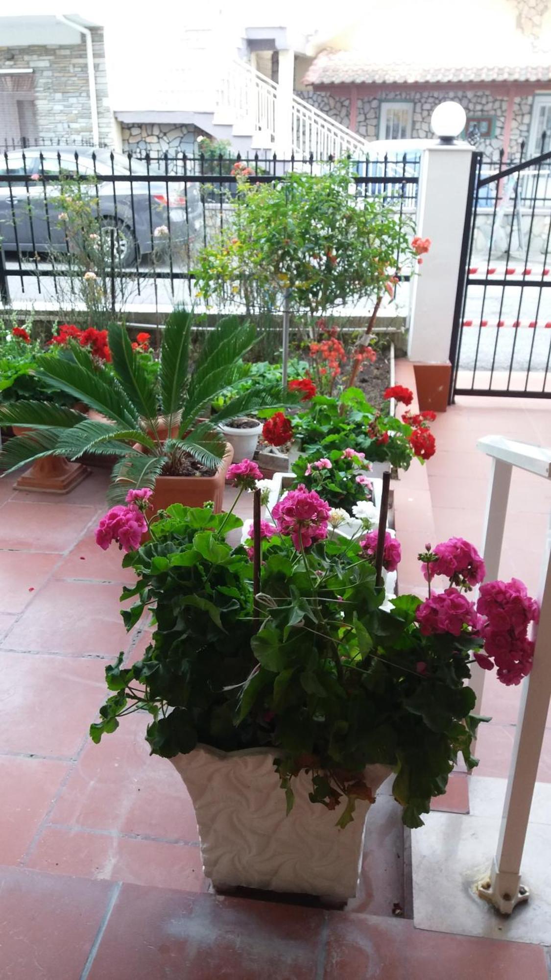 Sea View Apartments Poseidon 렙토카리아 외부 사진